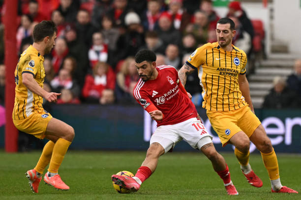 关注场上的 关注场上的