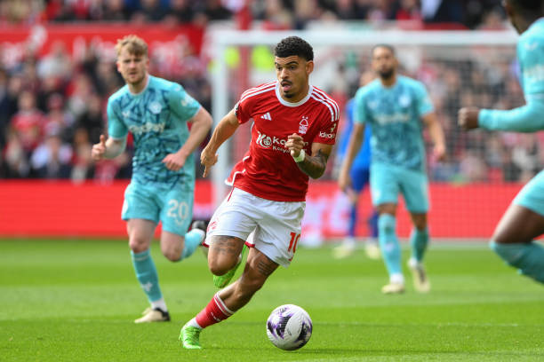 他们希望通 他们希望通